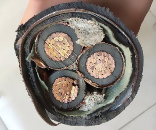  我國(guó)電纜工業(yè)已構(gòu)成類別較完全、規(guī)劃較大